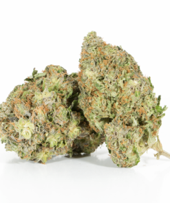 Purple Urkle